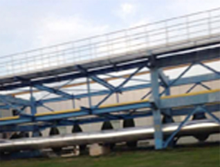 �c(di��n)���鿴��